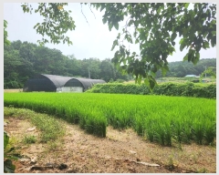  2024Ÿ2697 泲   õ 276      ()