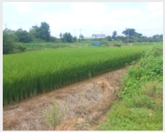  2024Ÿ2697 泲   õ 276      ()