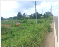  2024Ÿ2697 泲   õ 276      ()