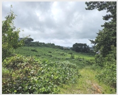  2024Ÿ��2932  �����