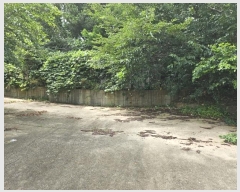  2024Ÿ��2932  �����