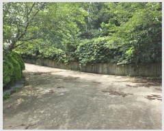  2024Ÿ��2932  �����