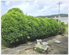  2024Ÿ��2932  �����