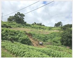  2024Ÿ��2932  �����