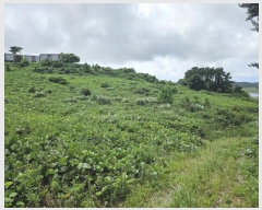  2024Ÿ��2932  �����