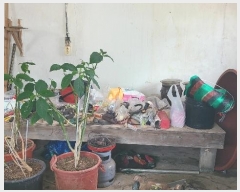  2024Ÿ��3331 �泲 �¾ȱ� �ȸ��� �¾� 1162-4      �ܵ�����,�����ð��