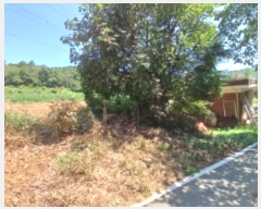  2024Ÿ��3379 �泲 ������ ���̸� õ�Ǹ� 56-1      ���ð��