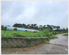  2024Ÿ��3461  �����