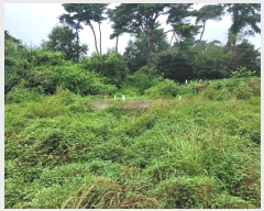  2024Ÿ��3461  �����