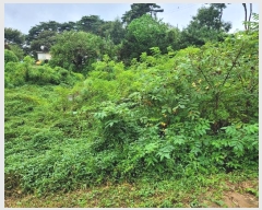  2024Ÿ��3461  �����