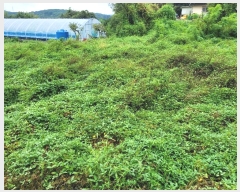  2024Ÿ��3461  �����