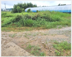  2024Ÿ��3461  �����