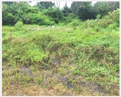  2024Ÿ��3461  �����