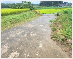  2024Ÿ��3461  �����