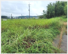  2024Ÿ��3461  �����