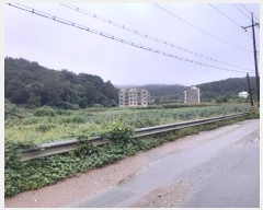  2024Ÿ3508 泲  ۾ ΰ 397-3      (1)