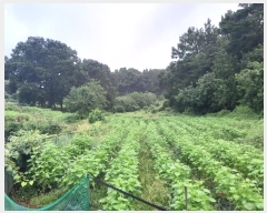  2024Ÿ3508 泲  ۾ ΰ 397-3      (1)