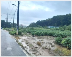  2024Ÿ3508 泲  ۾ ΰ 397-3      (1)