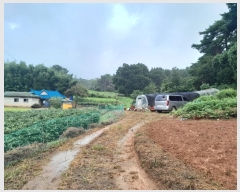  2024Ÿ3508 泲  ۾ ΰ 397-3      (1)