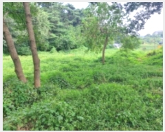  2024Ÿ3508 泲  ۾ ΰ 397-3      (1)