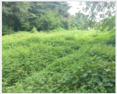  2024Ÿ3508 泲  ۾ ΰ 397-3      (1)