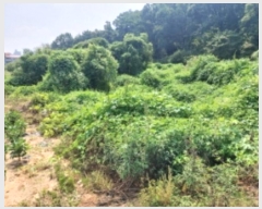  2024Ÿ3508 泲  ۾ ΰ 397-3      (1)