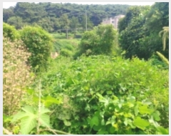  2024Ÿ3508 泲  ۾ ΰ 397-3      (1)