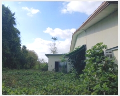  2024Ÿ3515 泲  ϸ ϸ 359-16      ڽü