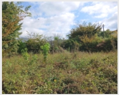  2024Ÿ3515 泲  ϸ ϸ 359-16      ڽü