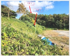  2024Ÿ3669 泲   ¸ 1-10      (Ӿ)