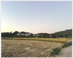  2024Ÿ3676 泲  μ  95-1      ()