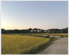  2024Ÿ3676 泲  μ  95-1      ()