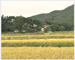  2024Ÿ3676 泲  μ  95-1      ()