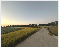  2024Ÿ3676 泲  μ  95-1      ()