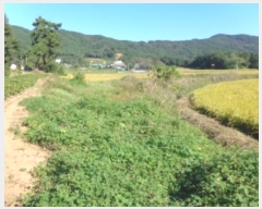  2024Ÿ3676 泲  μ  95-1      ()