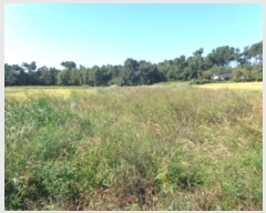  2024Ÿ3676 泲  μ  95-1      ()