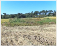  2024Ÿ3676 泲  μ  95-1      ()