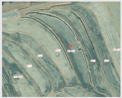  2024Ÿ3676 泲  μ  95-1      ()