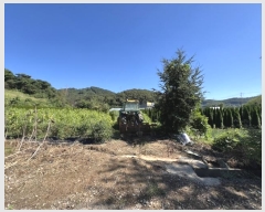  2024Ÿ3690 泲   õ 295-1      (1)