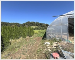  2024Ÿ3690 泲   õ 295-1      (1)