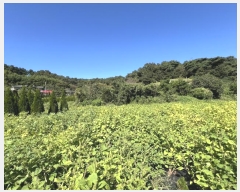  2024Ÿ3690 泲   õ 295-1      (1)