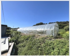  2024Ÿ3690 泲   õ 295-1      (1)