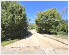  2024Ÿ3690 泲   õ 295-1      (1)