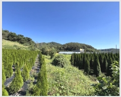  2024Ÿ3690 泲   õ 295-1      (1)