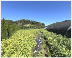  2024Ÿ3690 泲   õ 295-1      (1)