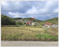  2024Ÿ3836 泲  ̸  140-7      ð