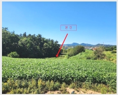  2024Ÿ4044 泲  μ 縮 329      ()