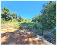  2024Ÿ4044 泲  μ 縮 329      ()