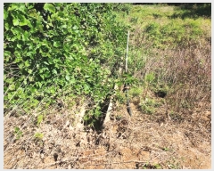  2024Ÿ4044 泲  μ 縮 329      ()