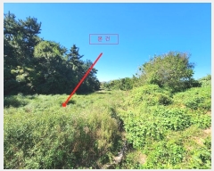  2024Ÿ4044 泲  μ 縮 329      ()